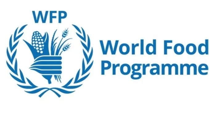 United Nations World Food Programme Recruitment for IT Operations Officer - Apply Now