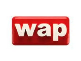 Wale Adenuga Productions (WAP) Limited Recruitment for Marketing Executives - Apply Now