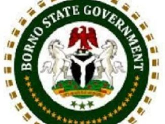 Borno State Ministry of Education Recruitment for Teachers 2023 - Apply Now